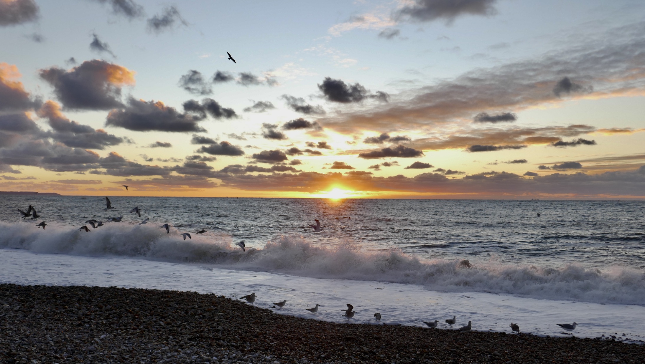 Couverture de l'article : Soutenance de thèse : Alexandre CUVIER