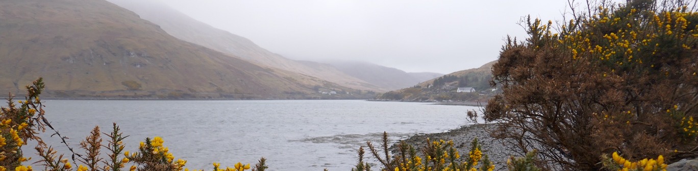 Couverture de l'article : Soutenance de thèse : Raynald BALLO