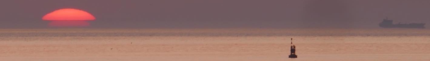 Couverture de l'article : Doctoriales en histoire contemporaine, XIXe-XXe siècle