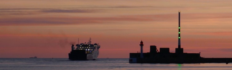 Couverture de l'article : Soutenance de thèse : Marine JAOUEN